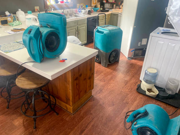 Best Flooded house restoration  in Medina, TX