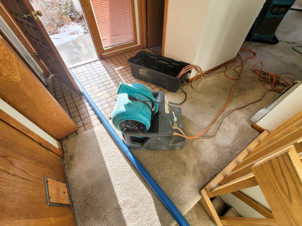 Best Water damage restoration near me  in Medina, TX