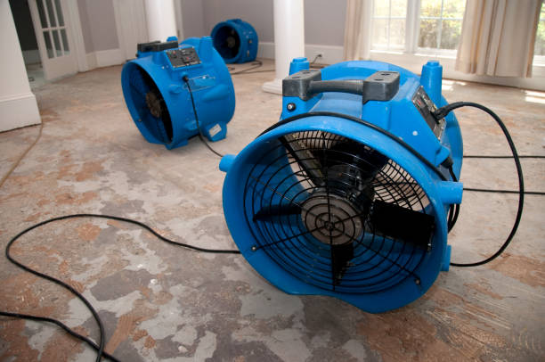 Best Water damage restoration company  in Medina, TX