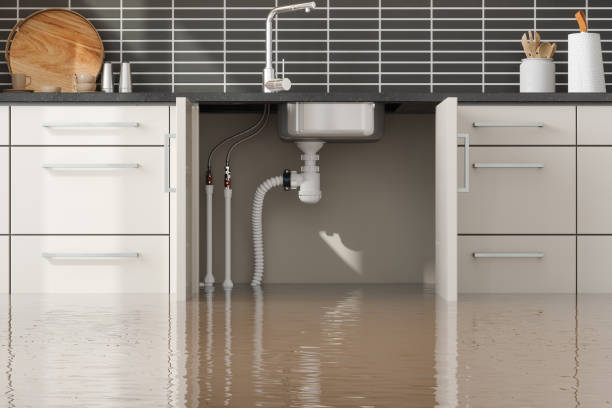 Best Carpet water damage restoration  in Medina, TX