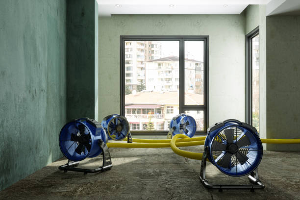 Best Emergency water damage restoration  in Medina, TX