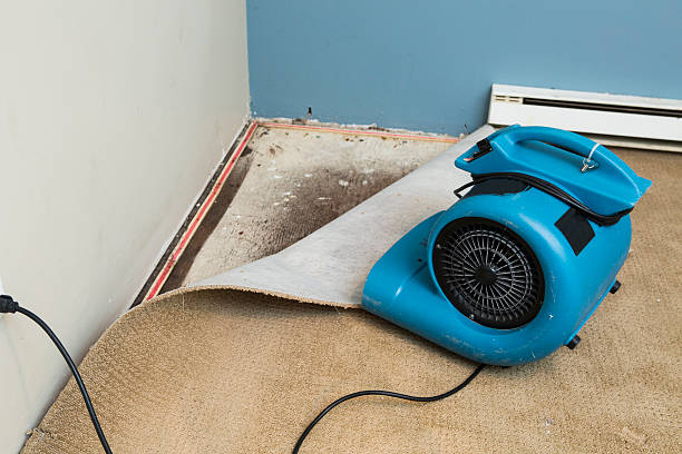  Medina, TX Water damage restoration Pros
